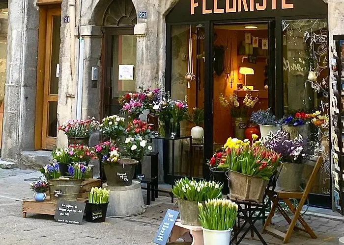 דירה Les 3 Arches - גרנובל